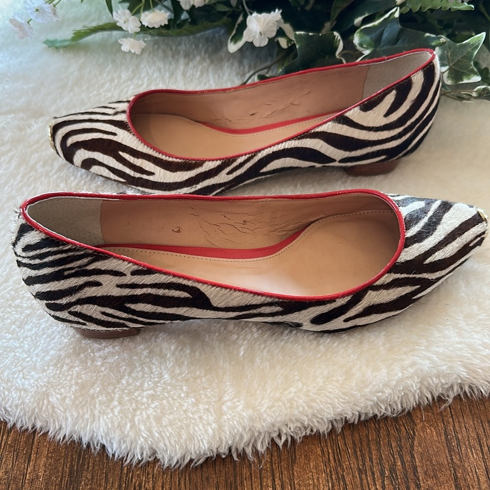 Luz Da Lua zebra flats